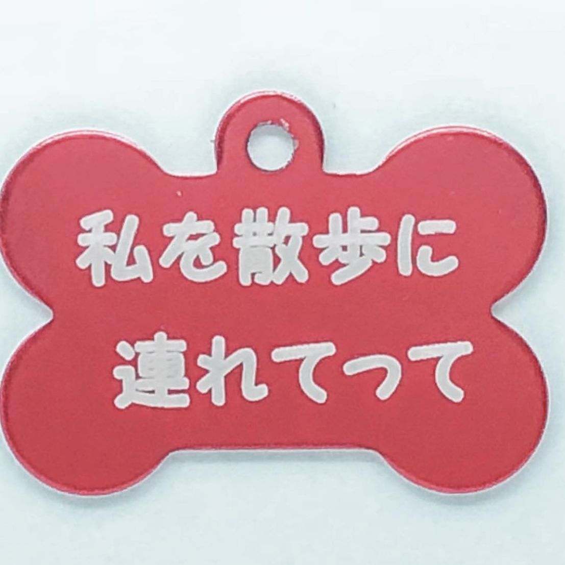 IMG_3552.png